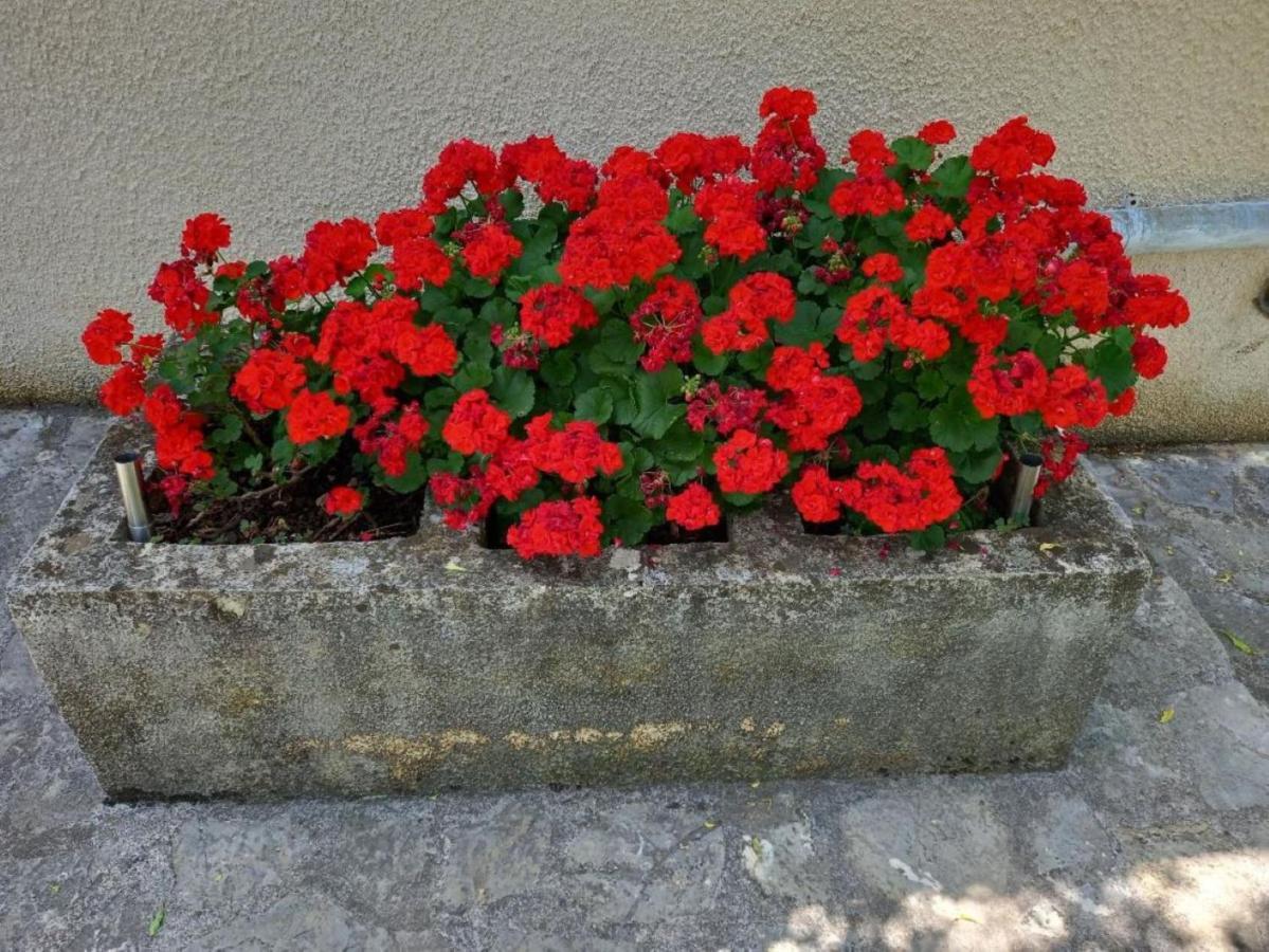 Apartmani Gracijela Karlobag Esterno foto