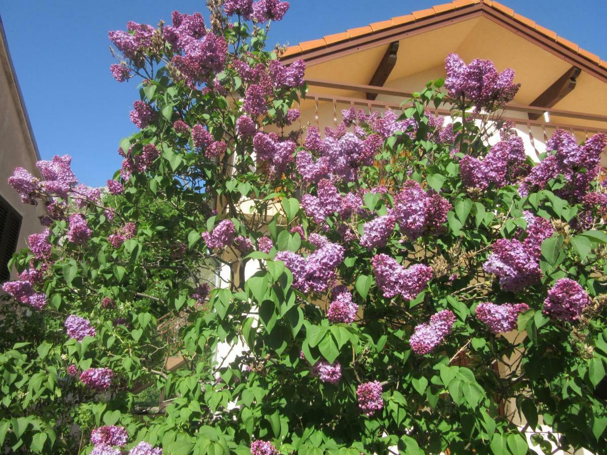 Apartmani Gracijela Karlobag Esterno foto